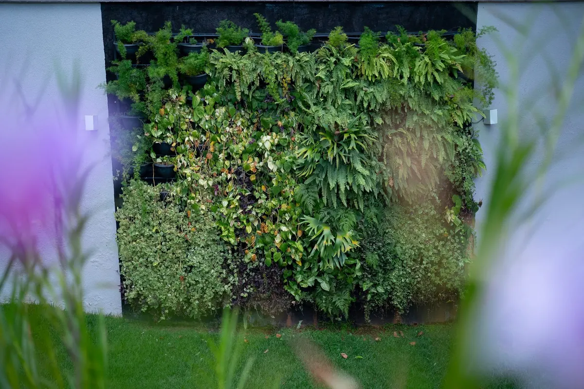 Parede de jardim vertical exuberante com samambaias e folhagens